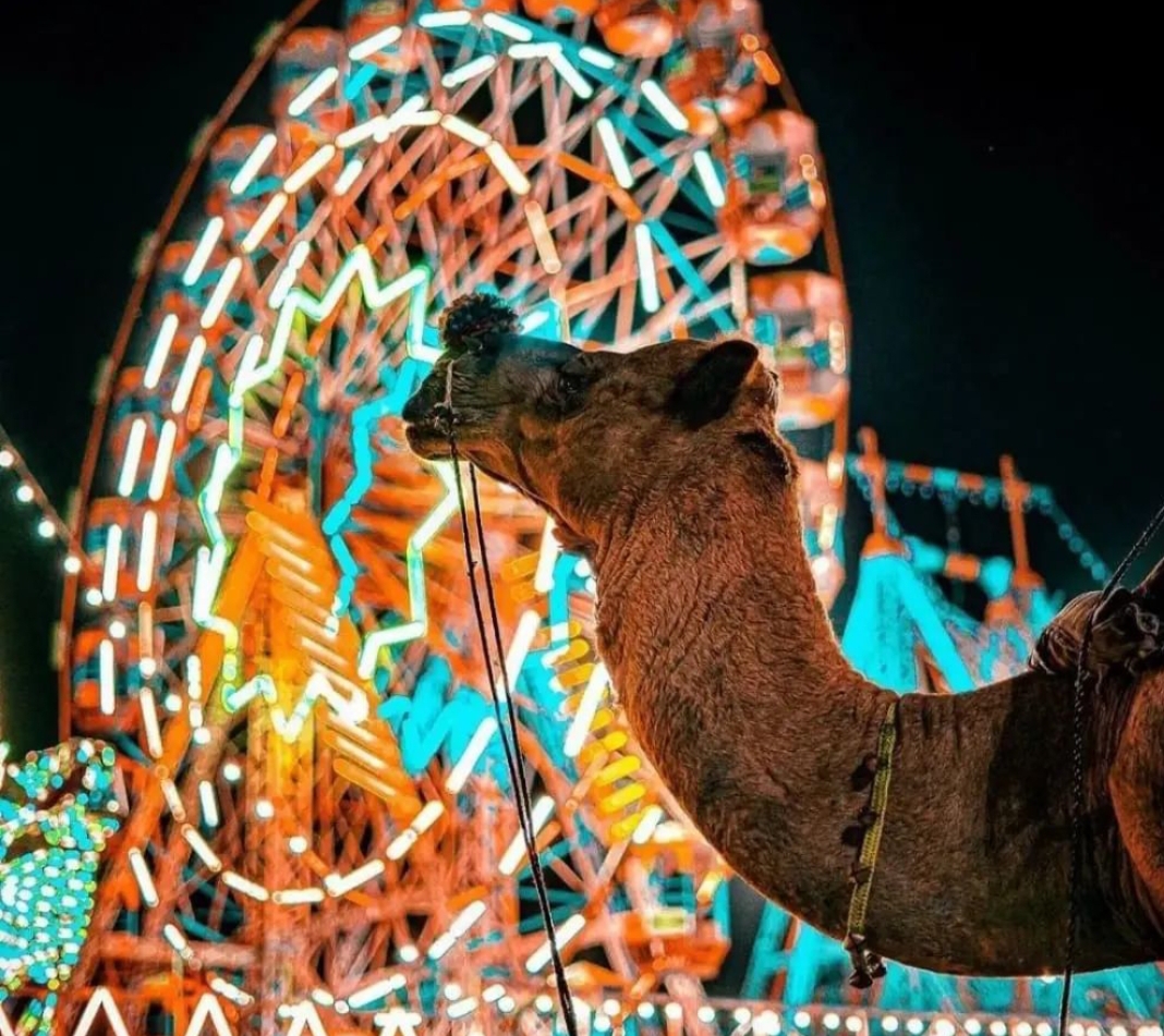 Chauffeur privé Inde