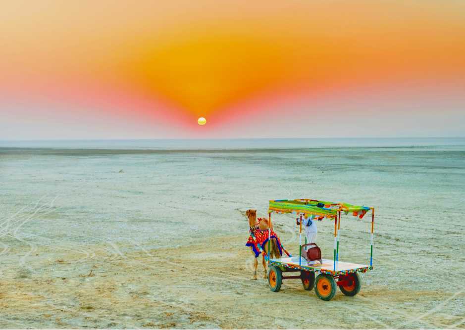 Visitez l'incroyable Gujarat