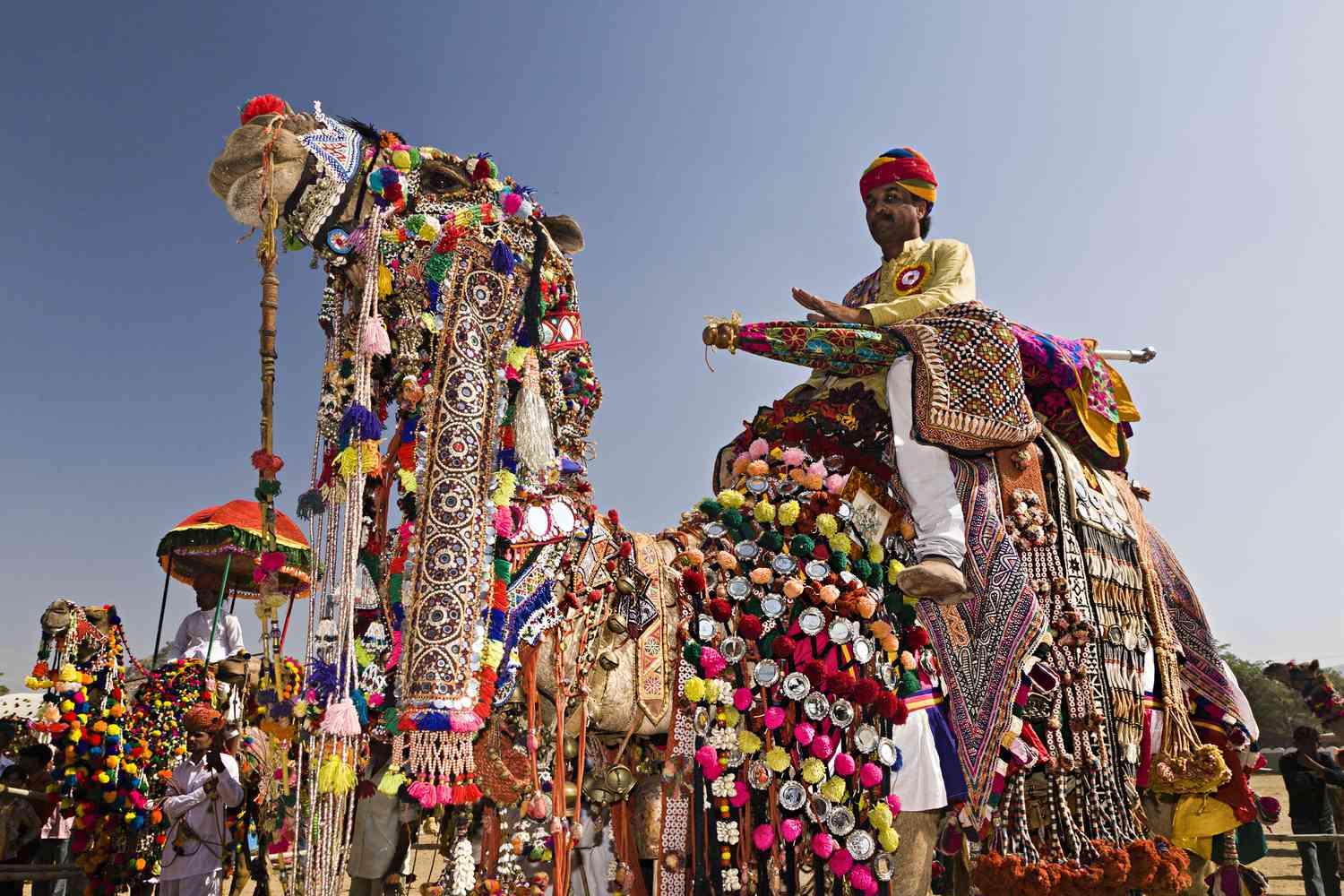 Festival du chameau de Pushkar